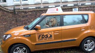 Fake Driving School csöcsö piercinges gót lány popóba kéri