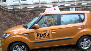 Fake Driving School cuki japán lány kúrni akar